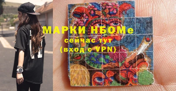 гашик Кулебаки