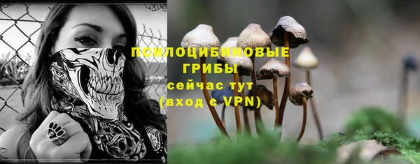 хмурый Лагань