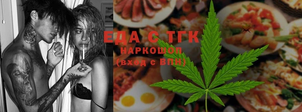 индика Ладушкин