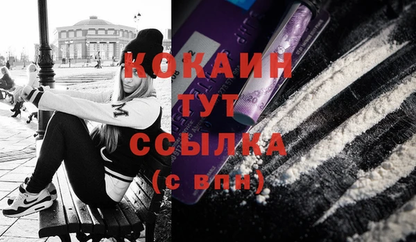 индика Ладушкин