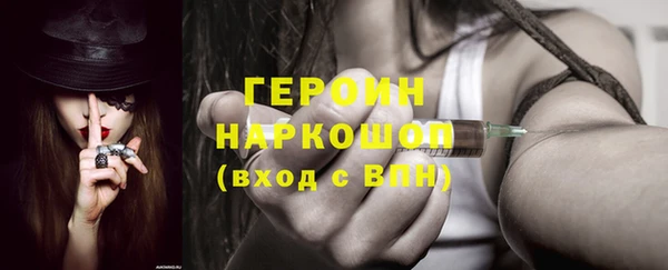 индика Ладушкин