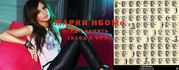 индика Ладушкин