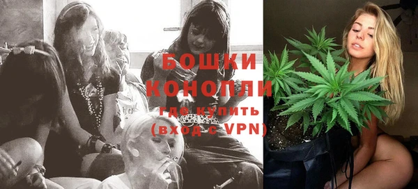 индика Ладушкин