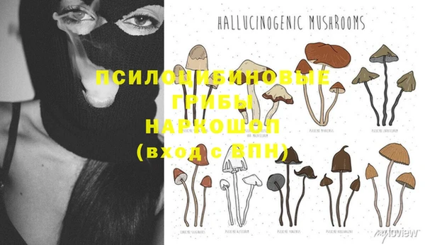 хмурый Лагань