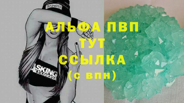 индика Ладушкин