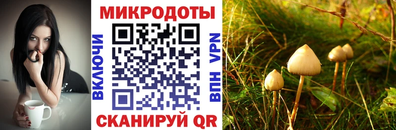 Псилоцибиновые грибы Magic Shrooms  где купить   Лысково 